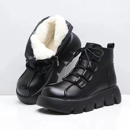 Doviora Wintera
